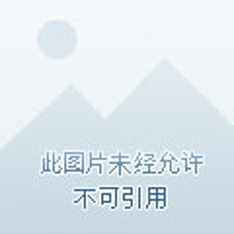 泌尿专科主要治疗哪些疾病？