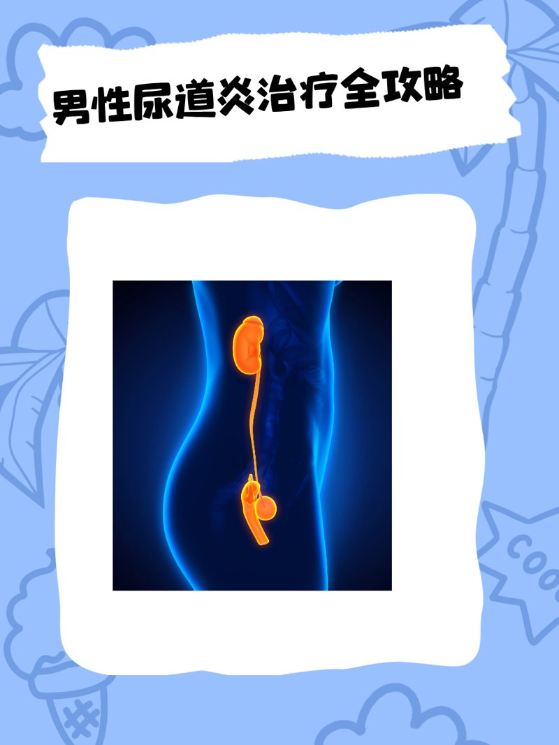 泌尿专科看哪些病？